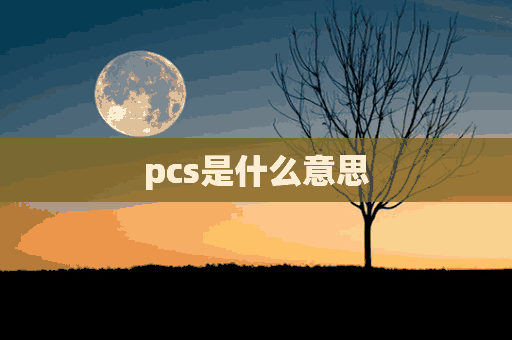 pcs是什么意思(pcs是什么意思的缩写)